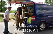 Адвокат по ДТП в Киеве